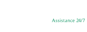 Speed Assist Logo